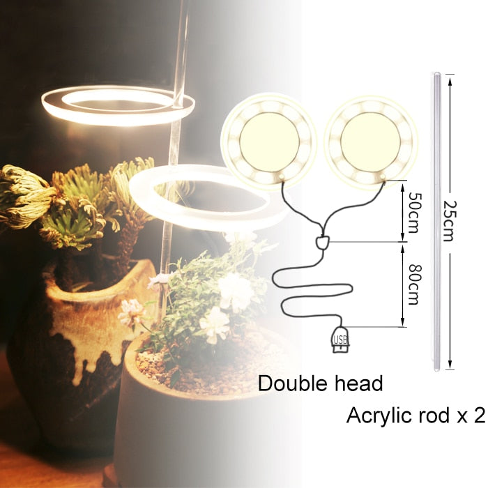 Three Ring Grow Light For Indoor Plants/Seedlings