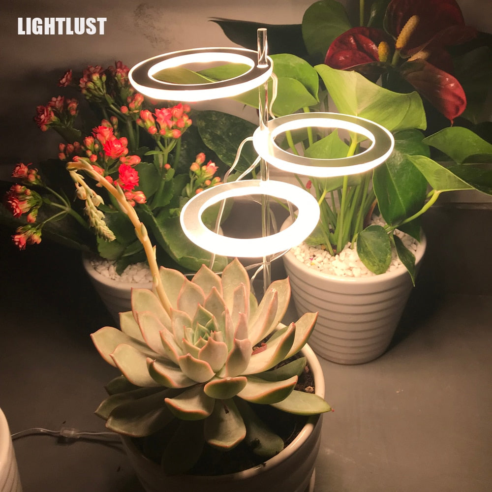 Three Ring Grow Light For Indoor Plants/Seedlings