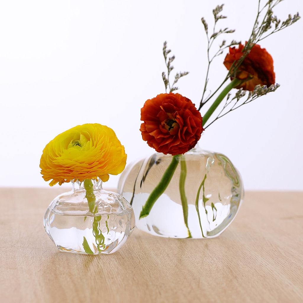 Handmade Pomegranate Glass Hydroponic Vase