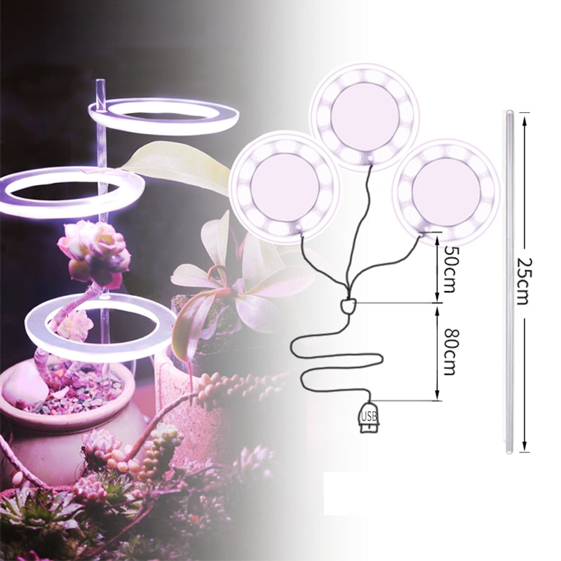 Three Ring Grow Light For Indoor Plants/Seedlings