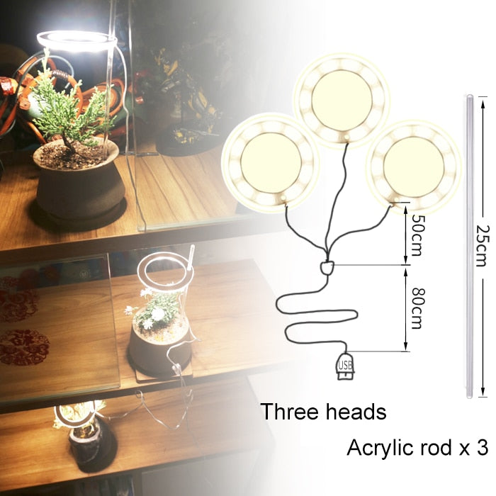 Three Ring Grow Light For Indoor Plants/Seedlings