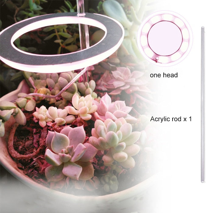 Three Ring Grow Light For Indoor Plants/Seedlings