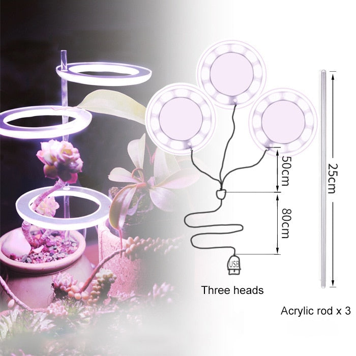 Three Ring Grow Light For Indoor Plants/Seedlings