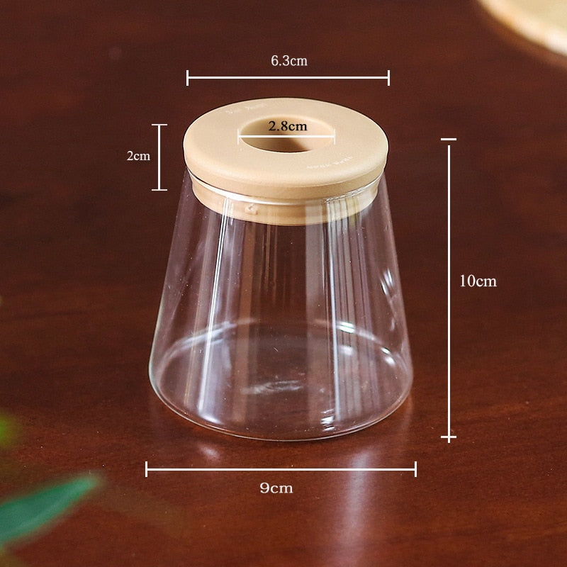 Transparent Hydroponic Flower Pot