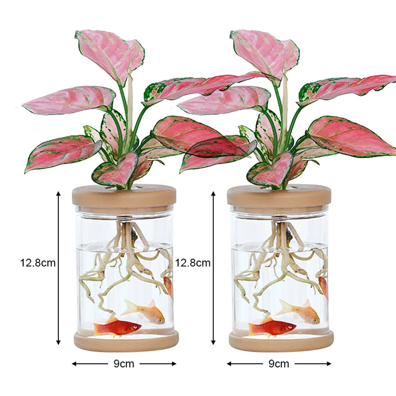 Transparent Hydroponic Flower Pot