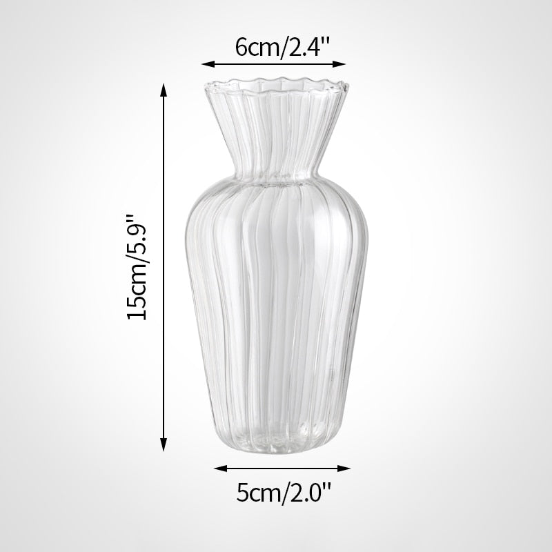 Nordic Style Hydroponic Glass Flower Vase