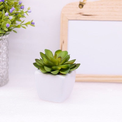 Mini Succulents And Bonsai Artificial Potted Plants