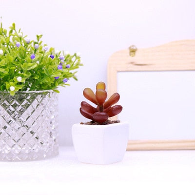 Mini Succulents And Bonsai Artificial Potted Plants