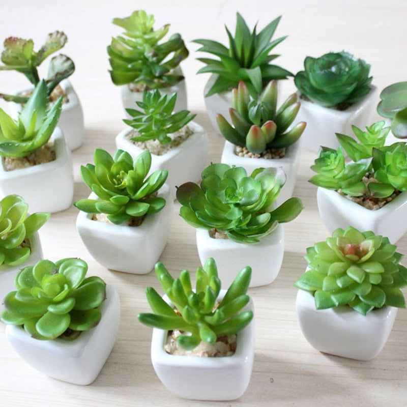 Mini Succulents And Bonsai Artificial Potted Plants