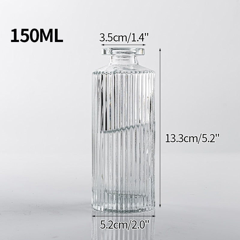 Nordic Style Hydroponic Glass Flower Vase