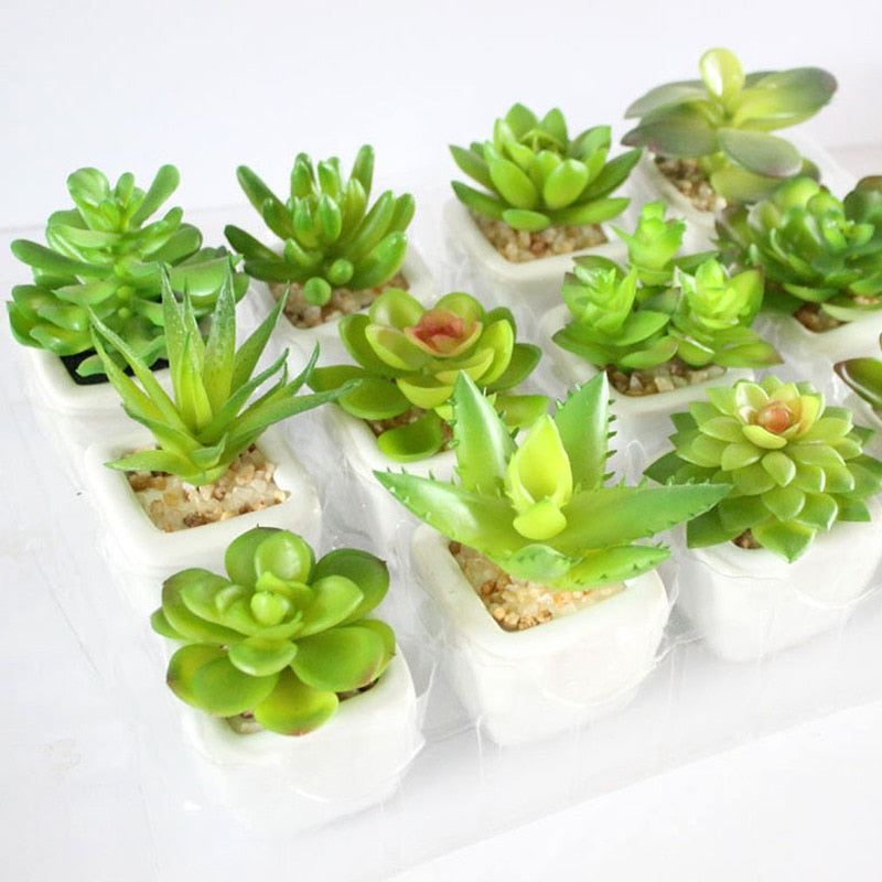 Mini Succulents And Bonsai Artificial Potted Plants