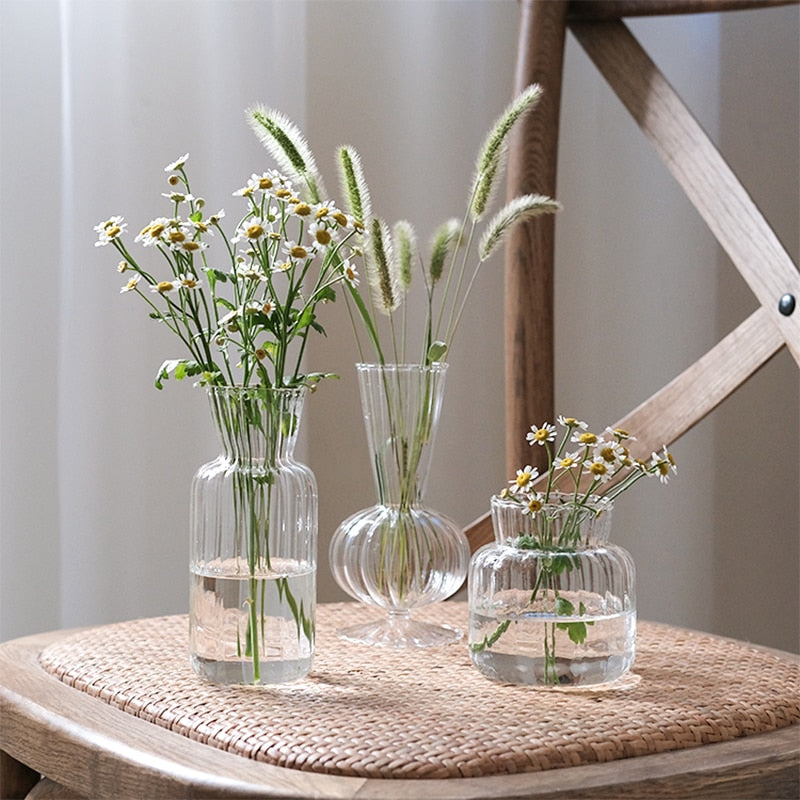 Nordic Style Hydroponic Glass Flower Vase