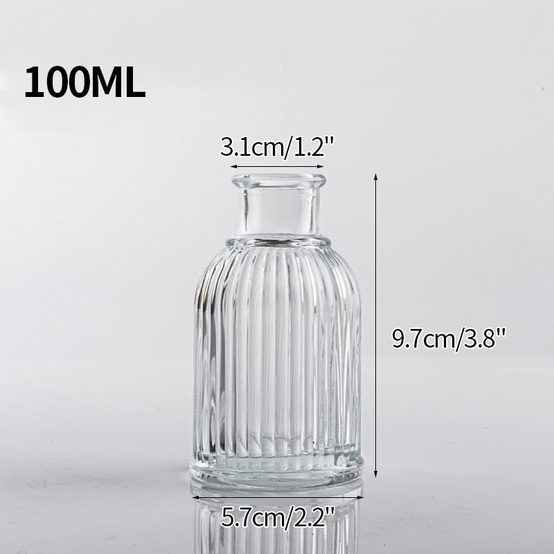 Nordic Style Hydroponic Glass Flower Vase