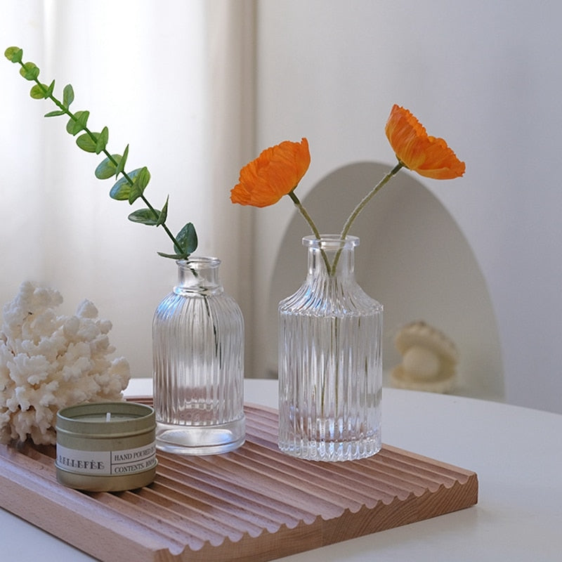 Nordic Style Hydroponic Glass Flower Vase