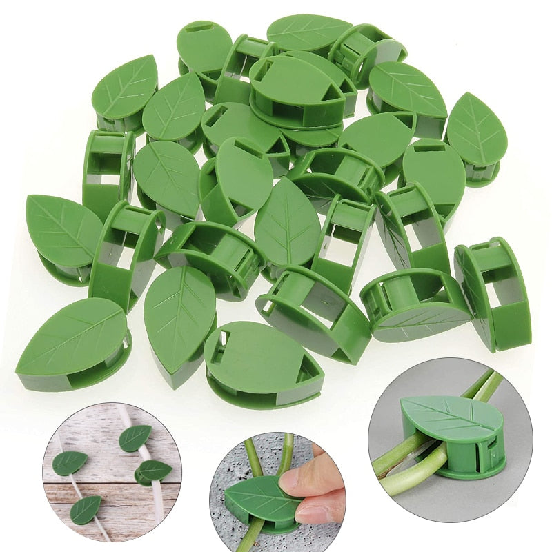 Invisible Plant Climbing Leaf Clip Wall Brackets