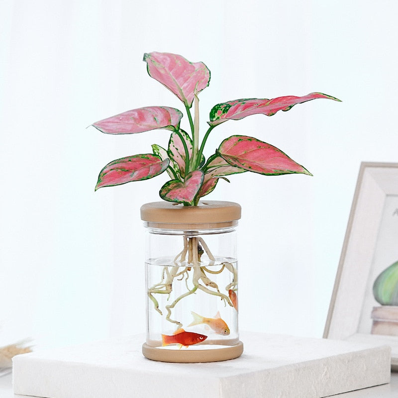 Transparent Hydroponic Flower Pot