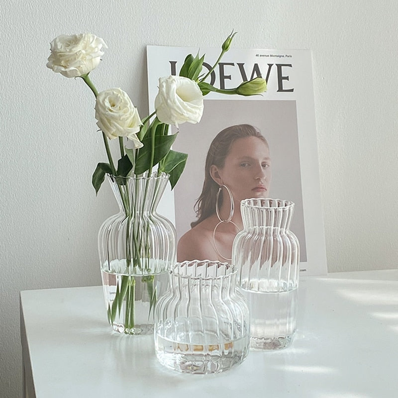 Nordic Style Hydroponic Glass Flower Vase