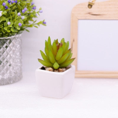 Mini Succulents And Bonsai Artificial Potted Plants