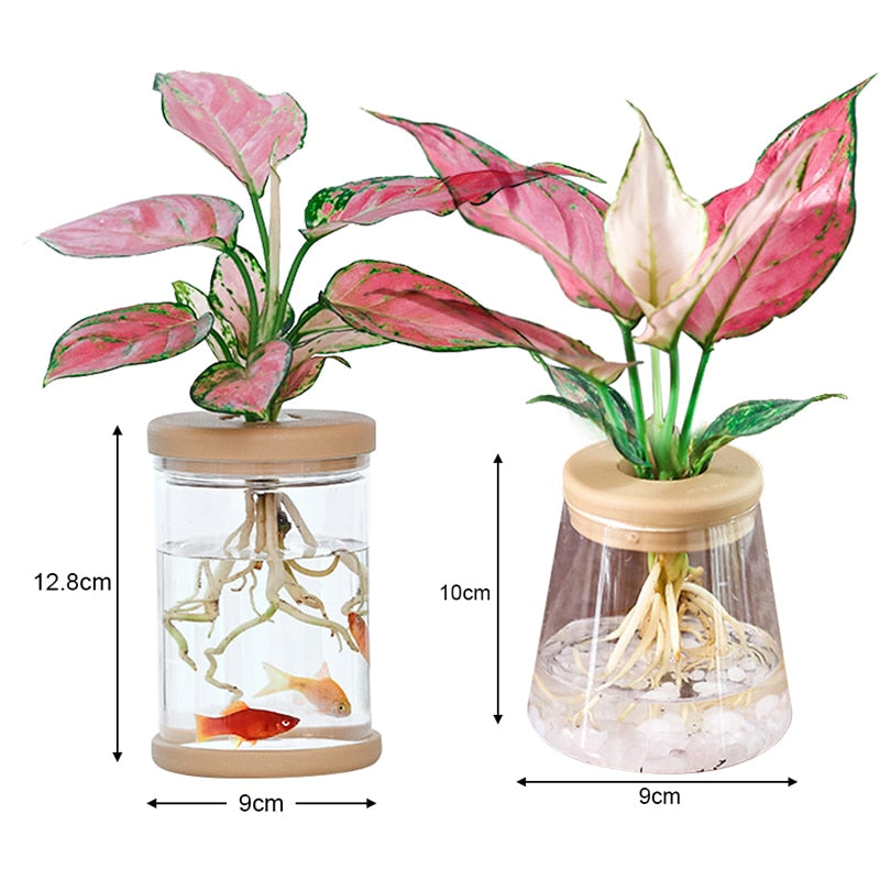 Transparent Hydroponic Flower Pot