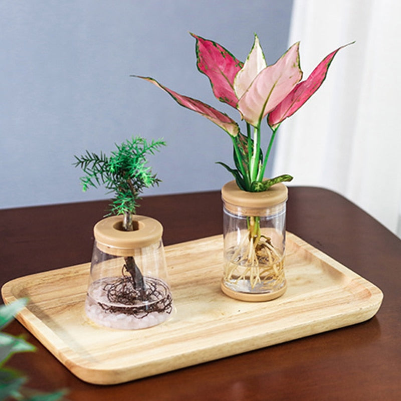 Transparent Hydroponic Flower Pot