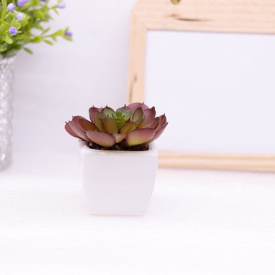 Mini Succulents And Bonsai Artificial Potted Plants