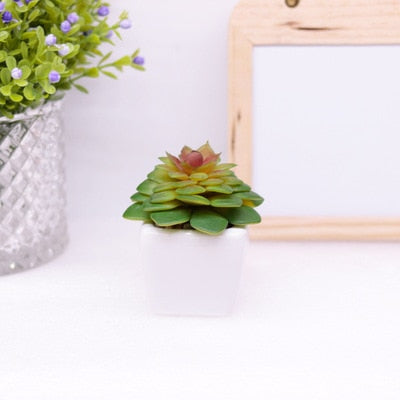 Mini Succulents And Bonsai Artificial Potted Plants