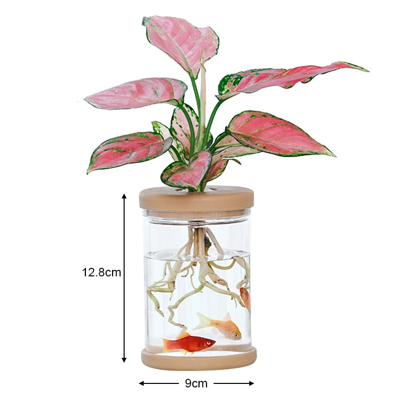 Transparent Hydroponic Flower Pot